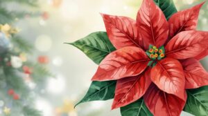 December Birth Flower