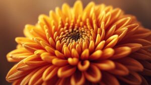 November Birth Flower