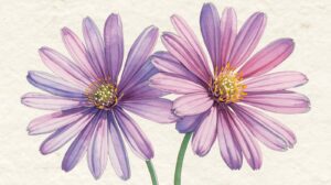 September Birth Flower