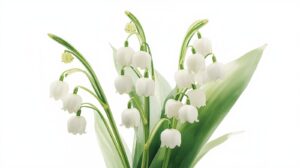 Lily Of The Valley Meaning