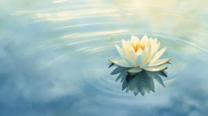 Water Lily Meaning